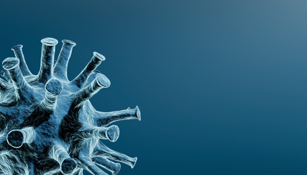 The Past, the Present and the Possibility of Another Pandemic: Preparing for the Next Health Crisis