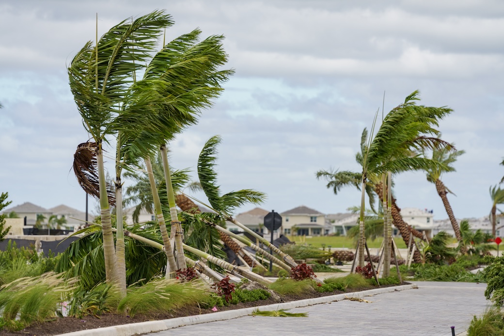 Expert Tips for Natural Disaster Preparedness