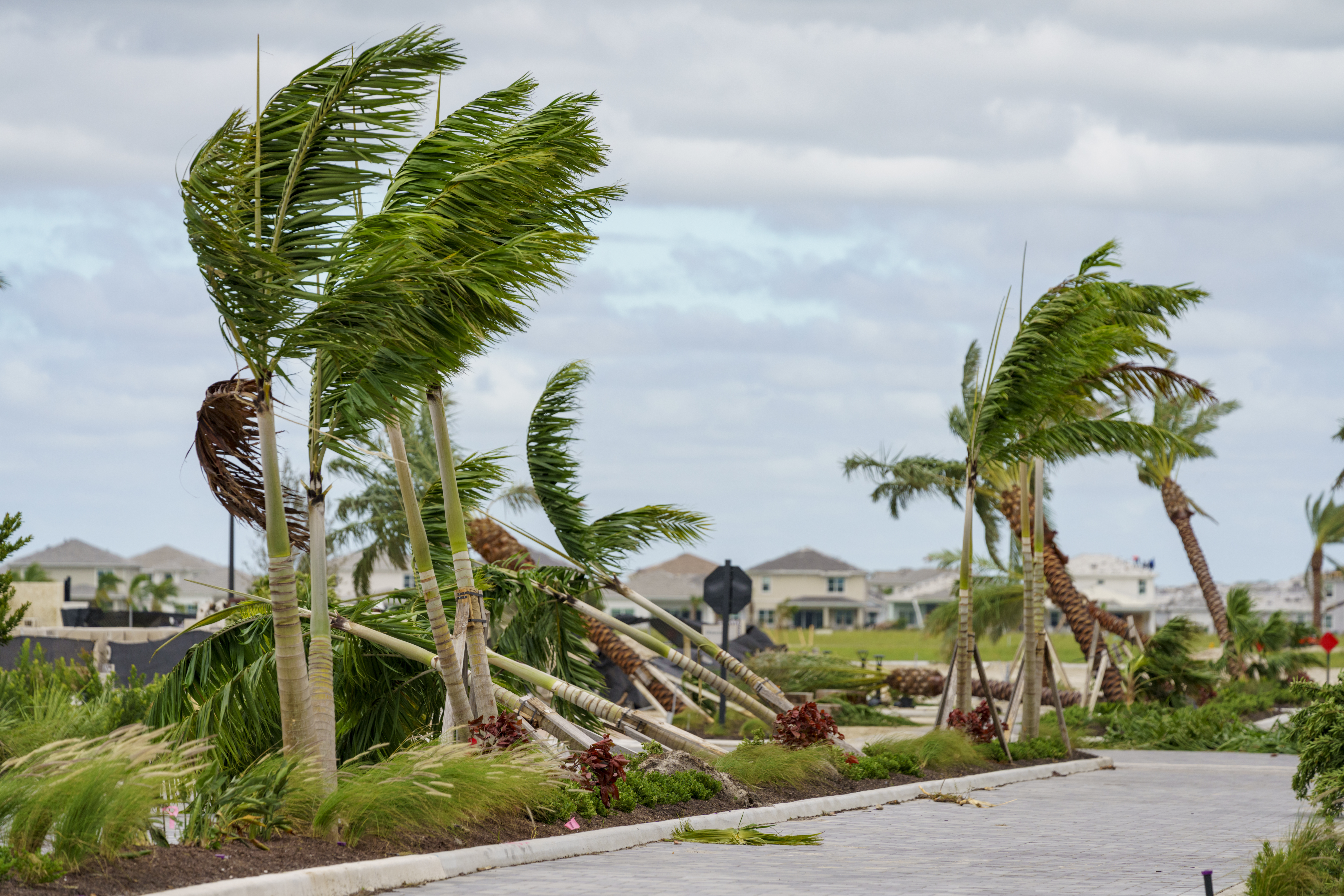 Expert Tips for Natural Disaster Preparedness